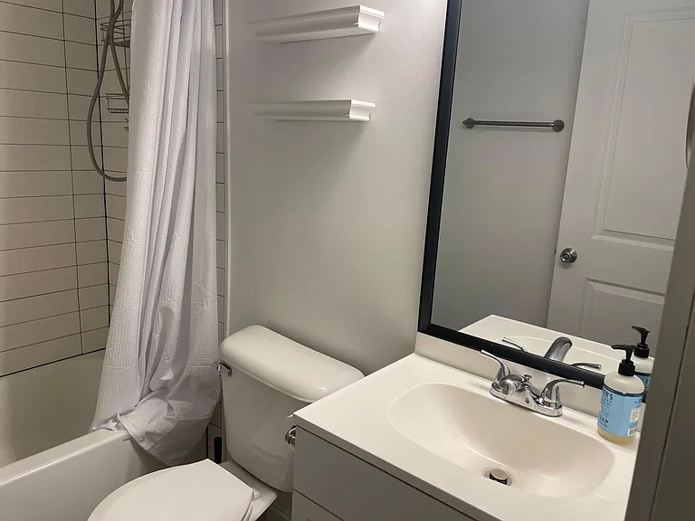 Basement Bathroom