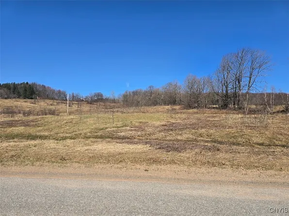 0 Miller Rd W #2, Westdale, NY 13483