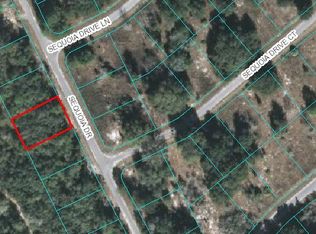 21 Sequoia Loop Dr, Ocklawaha, FL 32179