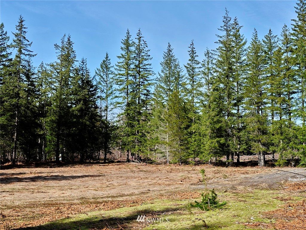 6 Loowit Lane, Cougar, WA 98616 MLS 1905539 Zillow