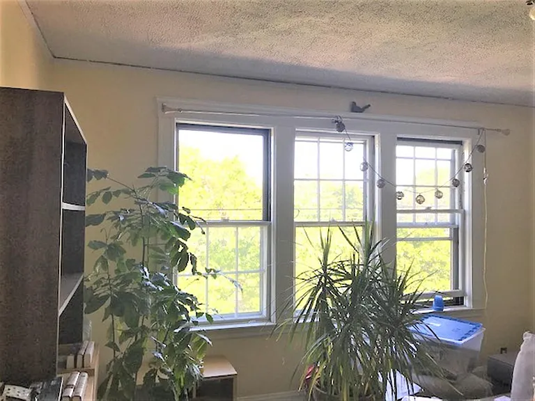 168 Norfolk St #5 — Photo 3
