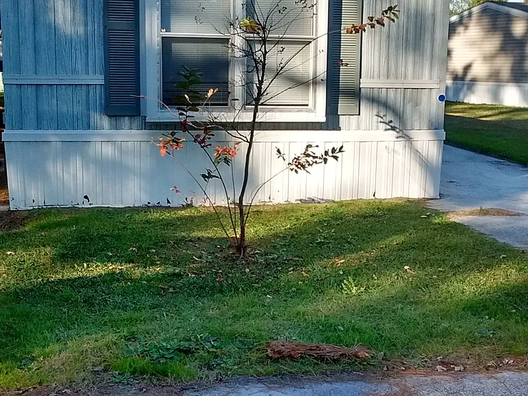 Southern Pines — Photo 13