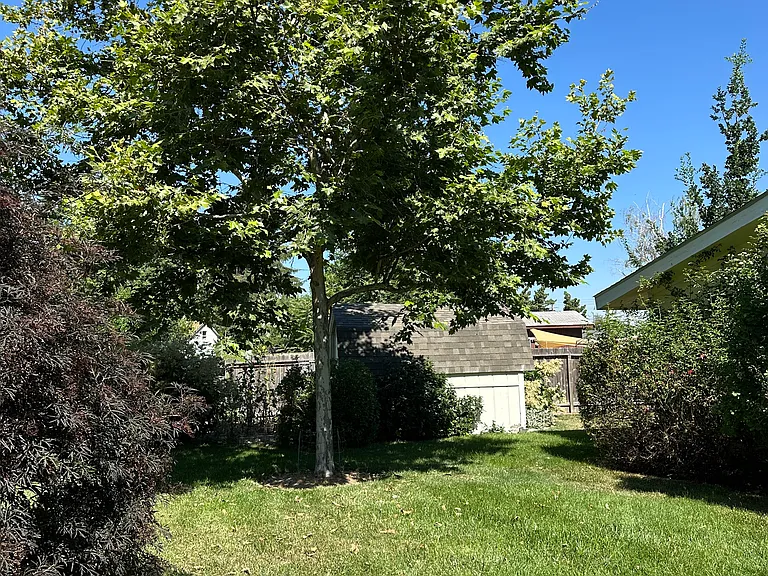 3605 W Moore St — Photo 8