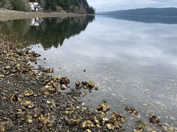 30453 N Us Highway 101, Lilliwaup, WA 98555