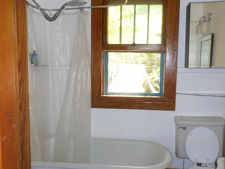Bathroom - cast iron clawfoot tub