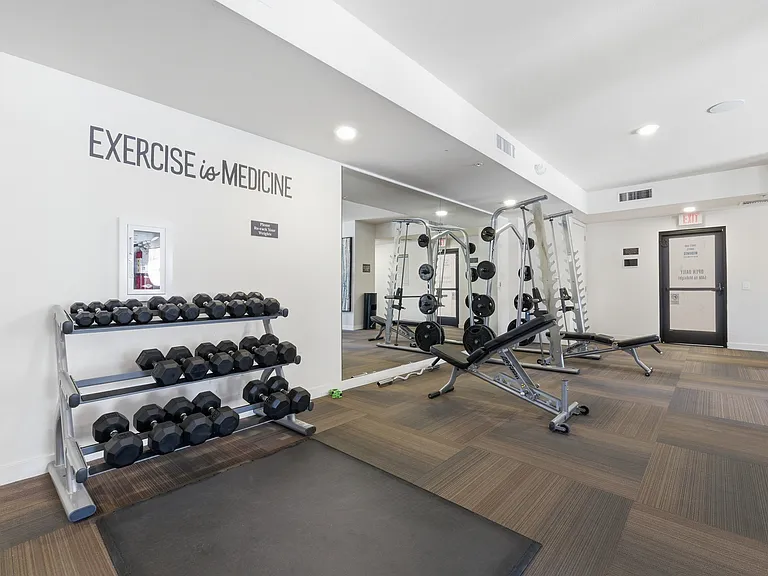 Modern fitness center featuring cardio, free weights, and strength equipment.
