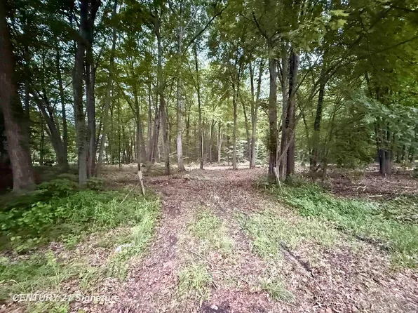 0 Seymour Rd, Burt, MI 48417