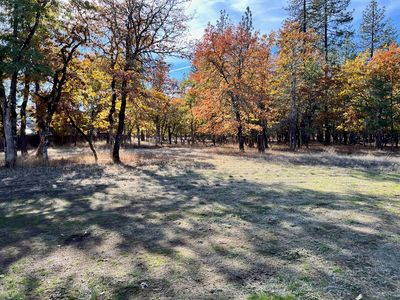 521 Rogue Air Dr, Shady Cove, OR, 97539