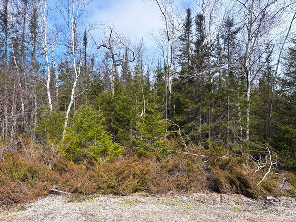 Sylvan Ct, Presque Isle, MI 49777