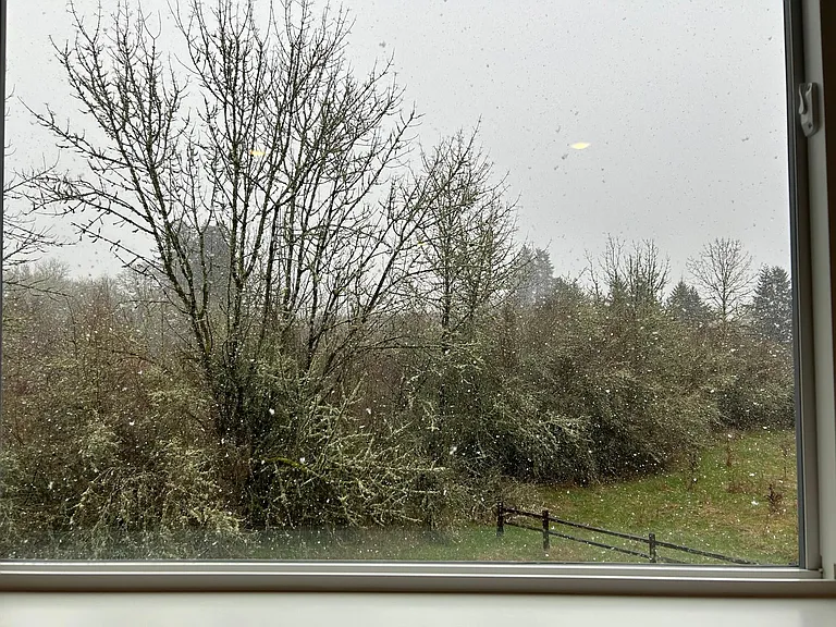 VIEW FROM 4TH BEDROOM
