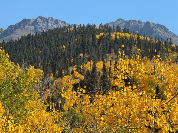 Saddle Horn Ln #4, Telluride, CO 81435