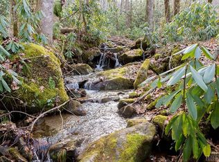 1963 Shook Cove Rd, Tuckasegee, NC 28783