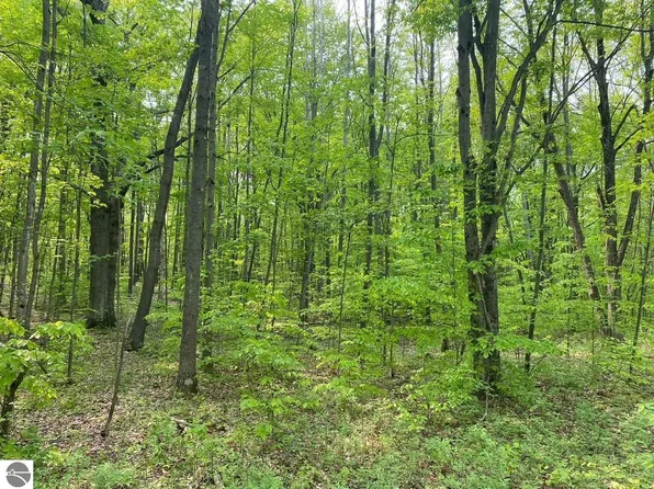 Bern Dr, Reed City, MI 49677