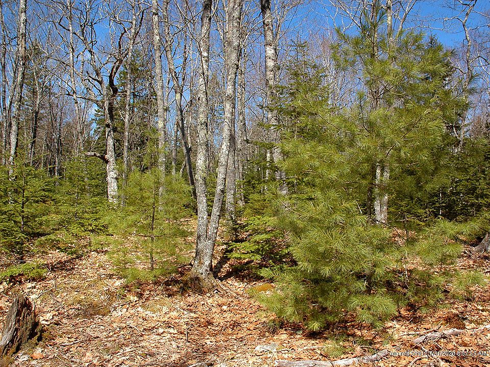 2nd image of 0 Arrowhead Rd Parcel 2