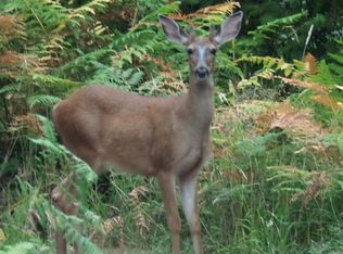 44004 SE Trout Creek Rd, Corbett, OR 97019