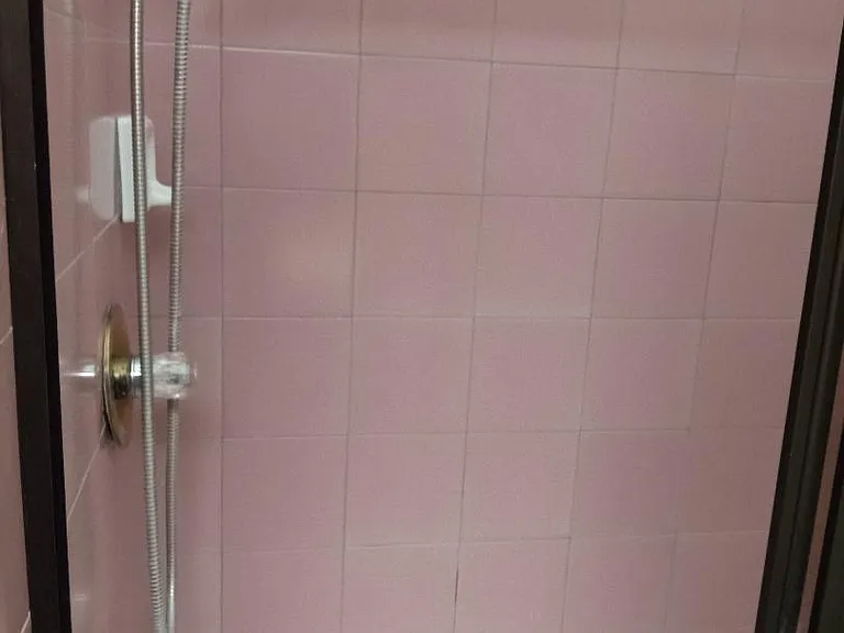 West bedroom shower.
