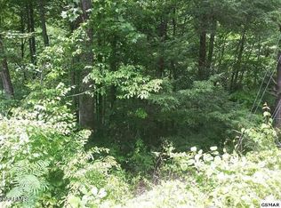 Buena Vista Dr, Sevierville, TN 37876