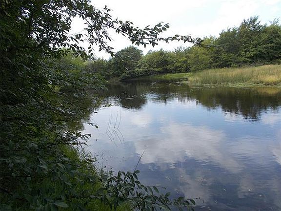 2nd image of 17373 County Road 4065