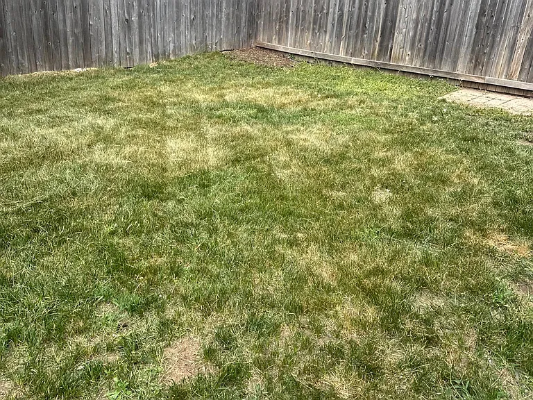 1409 S Gary Dr — Photo 5
