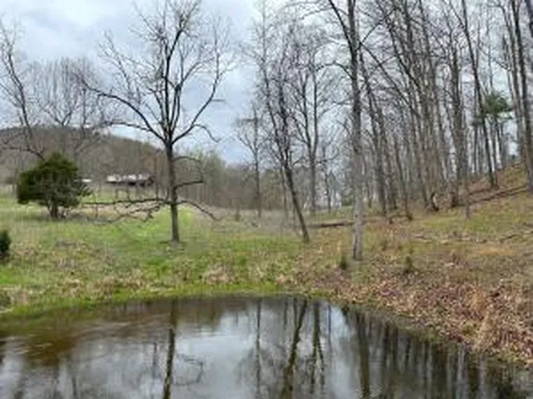 2443 Bruce Allen Rd, Hinton, WV 25951