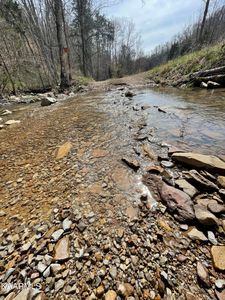Skaggs Hollow Rd, Tazewell, TN, 37879
