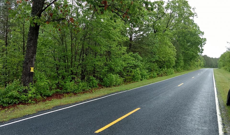 2nd image of Currie Rd