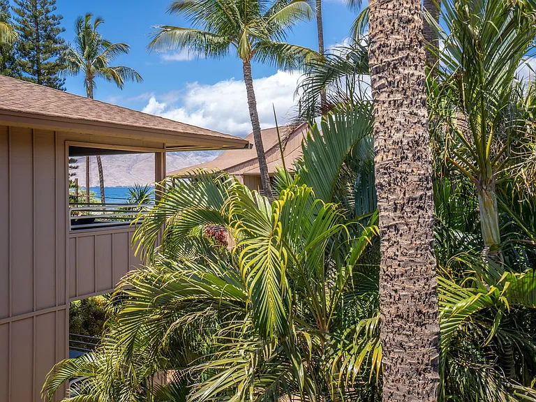 679 S Kihei Rd — Photo 7