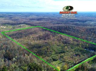 W Jackson St, White Cloud, MI 49349