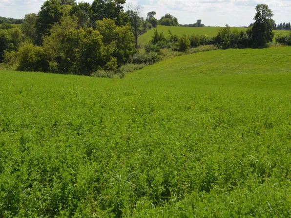 16421 40th Ave, Baldwin, IA 52207