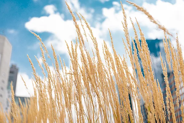 Rented by MySpaceNYC | media 41