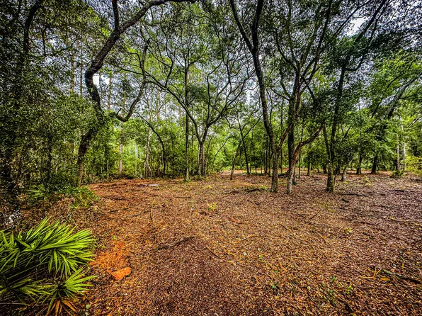 County Road 232, Bell, FL 32619