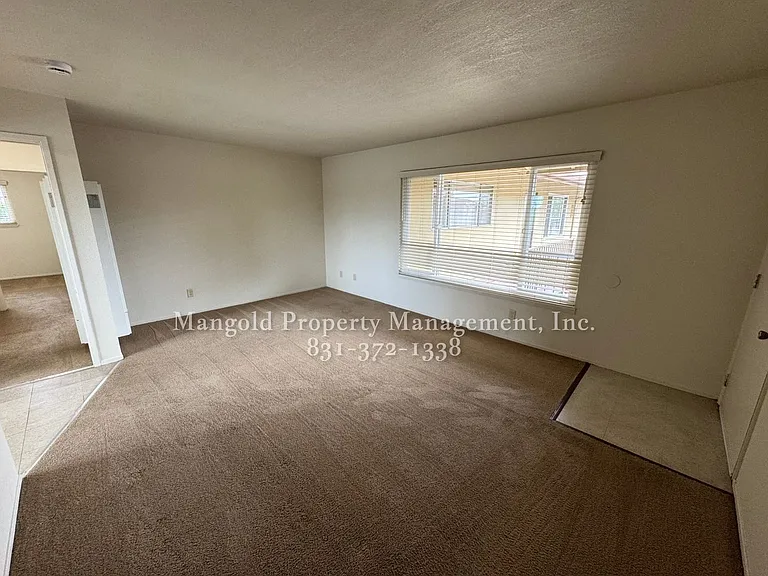 255four — Photo 4