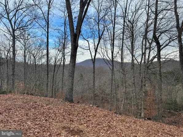 339 Berry Hill Rd, Nellysford, VA 22958