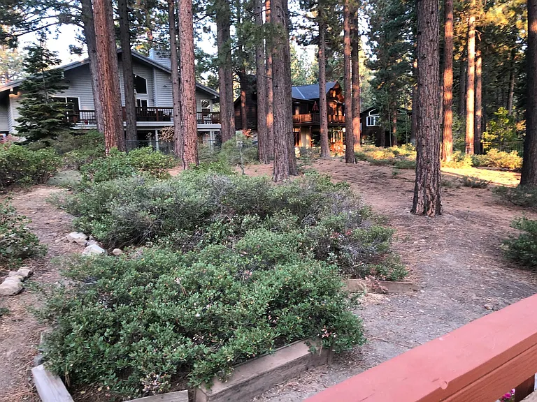 163 Skyland Way — Photo 16