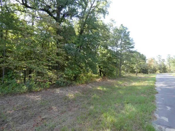 County Road 4593, Winnsboro, TX 75494