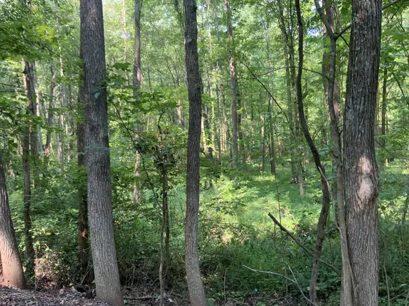0 Copper Springs Rd, Springville, TN 38256