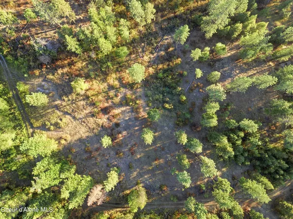 LOT 1&2 Moose Mtn, Priest River, ID 83856