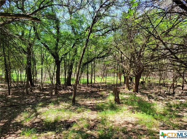 37 Buena Vista Dr, Morgans Pt Resort, TX 76513