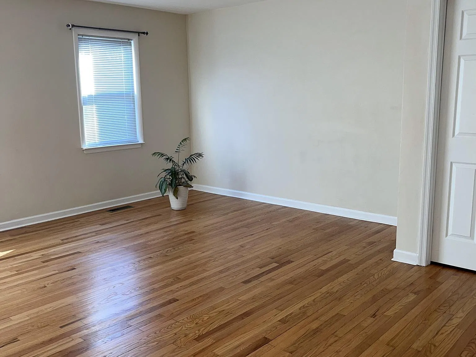 7008 Palamar Turn — Photo 4