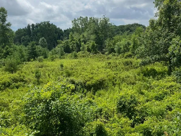 Yale Rd, Yale, MI 48097