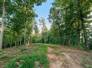 200 Chestnut Mountain Rd LOT 1, Travelers Rest, SC 29690