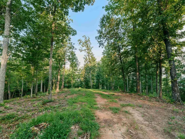 200 Chestnut Mountain Rd Lot 1, Travelers Rest, SC 29690
