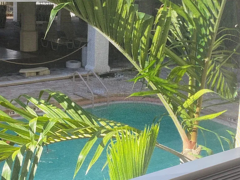 Room with a view