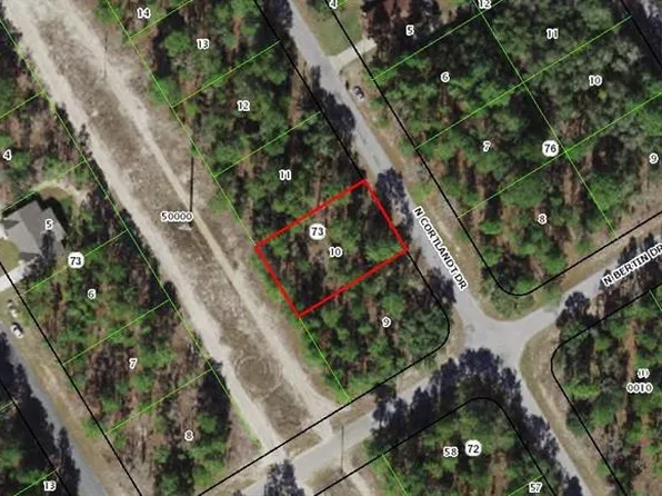 9426 N Cortlandt Dr, Citrus Springs, FL 34434