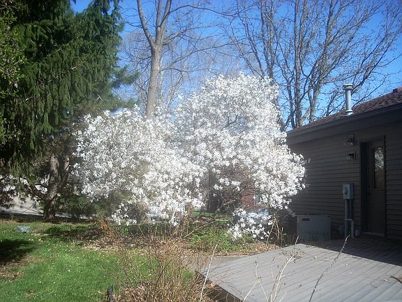 5th image of this home