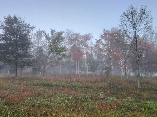 0 S Paint Rock Rd, Philadelphia, TN 37846