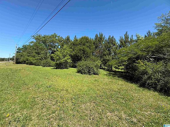 2nd image of 0 Coosa County Road 62 #0