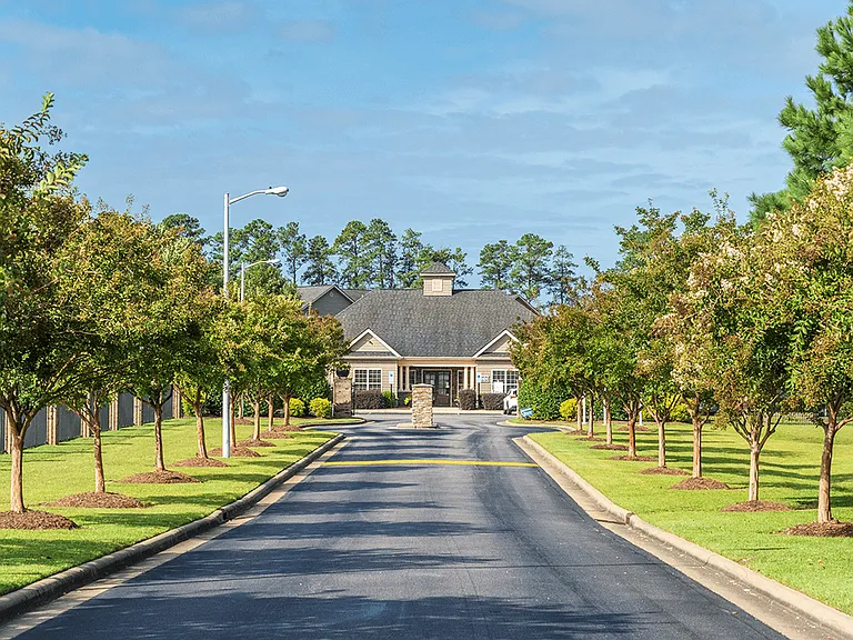 Tree-Lined Entrance