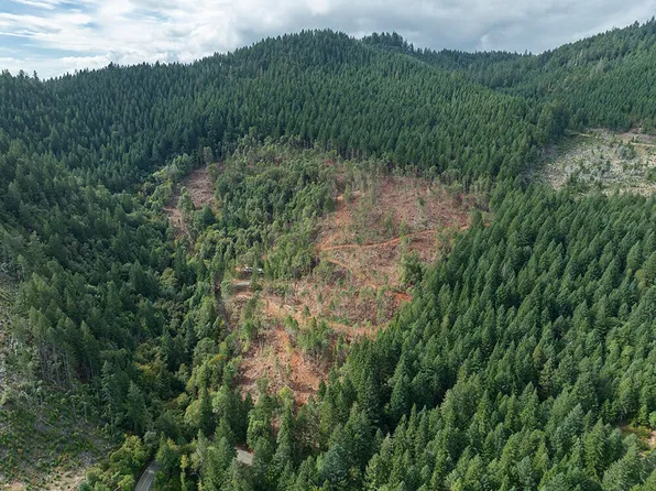 1132 Bridge Ln, Wolf Creek, OR 97497