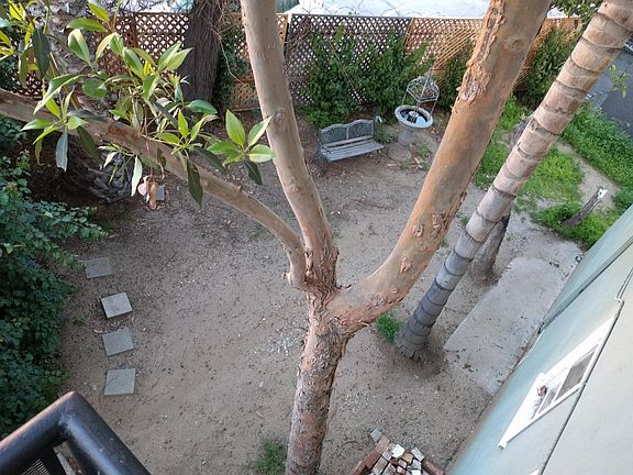 Courtyard area at the back of the building.